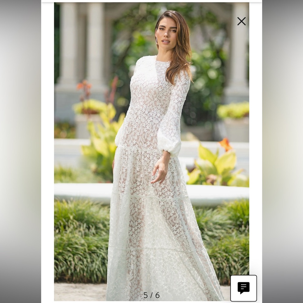 Dress the Population Lyra Semisheer Long Sleeve Gown